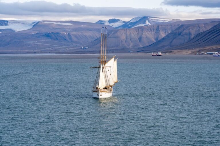 Arktis-Expeditionskreuzfahrt: Saison, Schiffe, Erwartungen