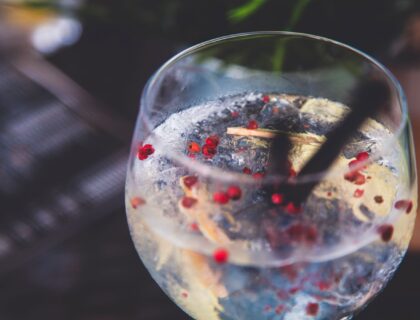 Gin Tonic mit Botanicals auf dunklem Bartresen